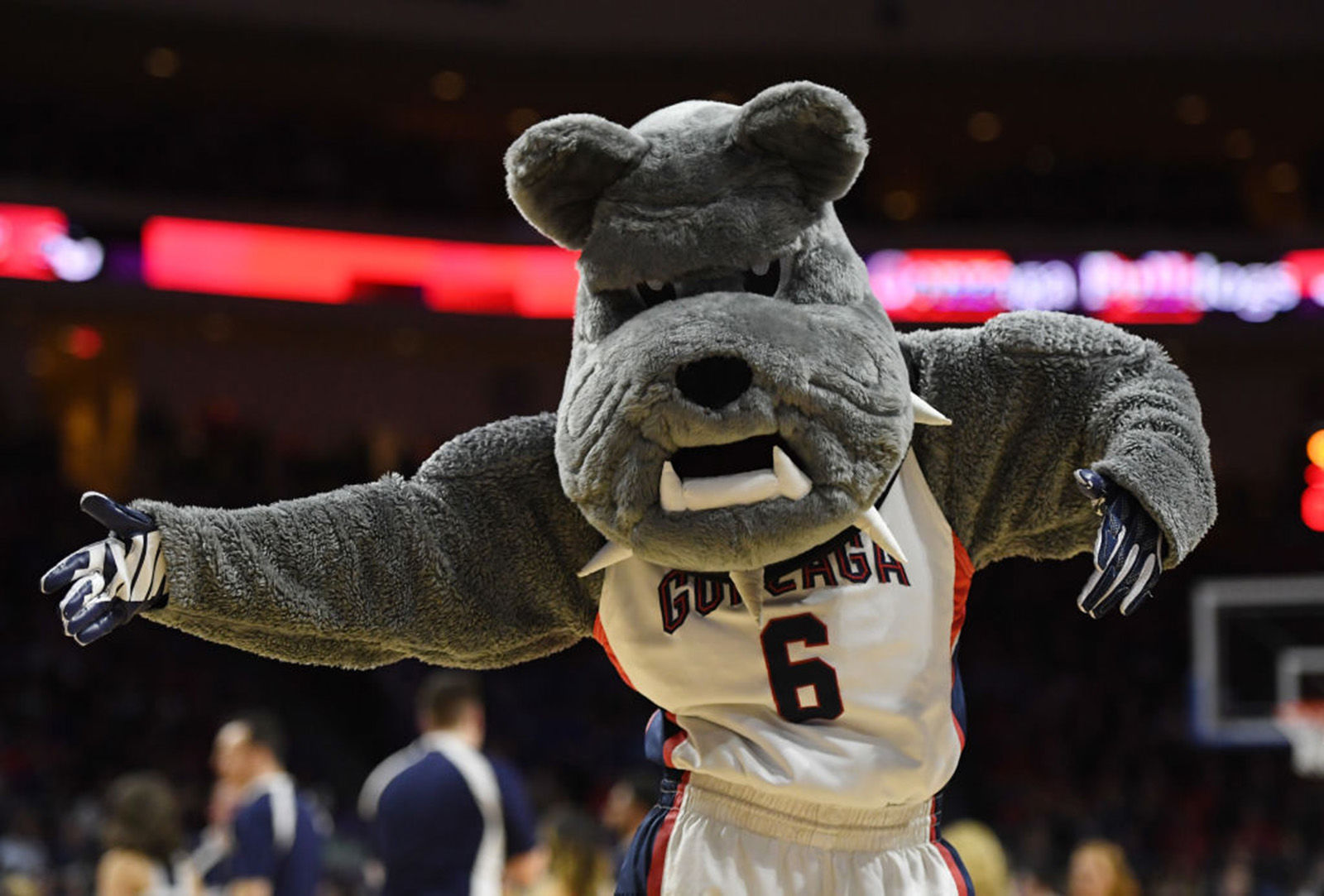 Gonzaga Bulldogs